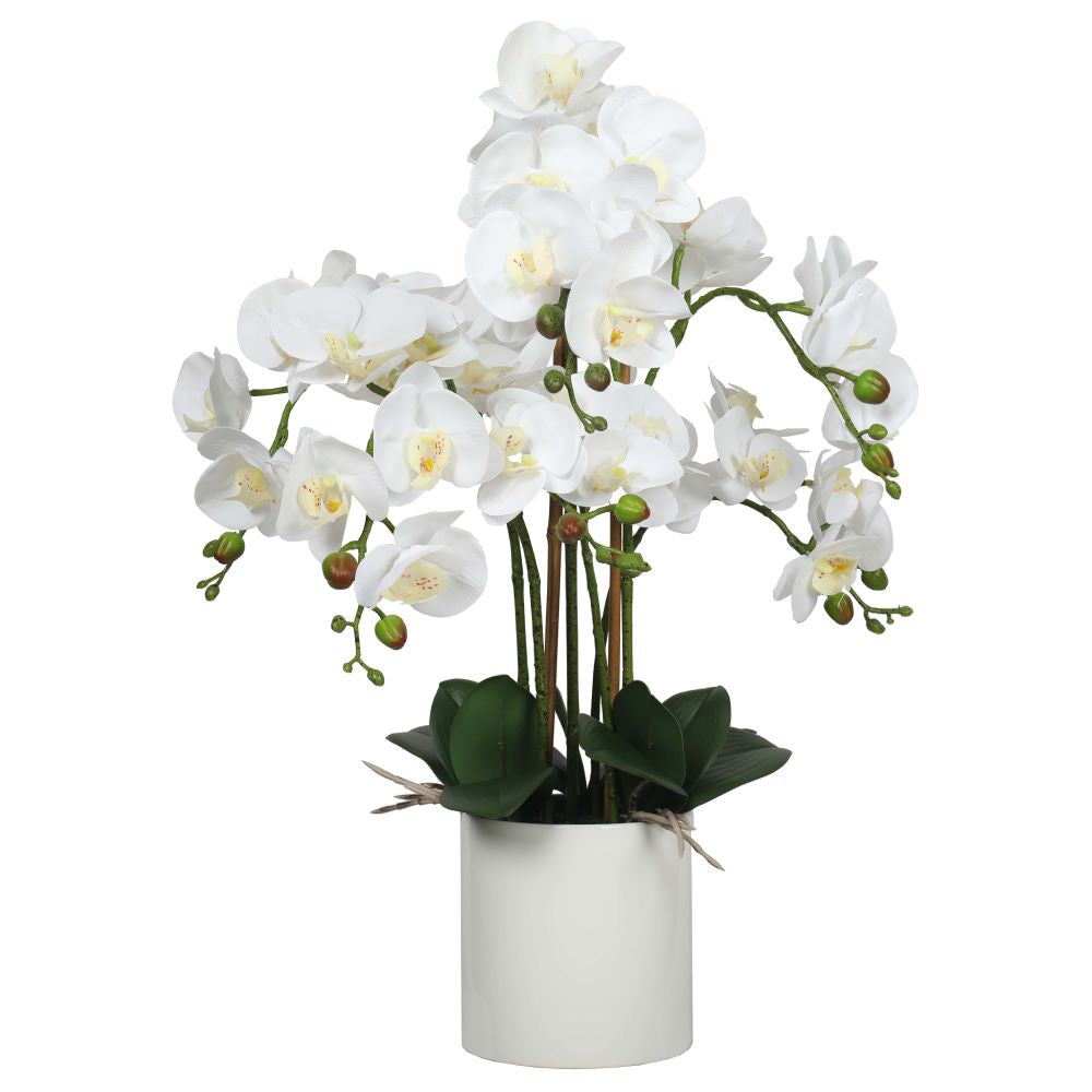 Large Multi-Stem White Potted Faux Orchid 65cm